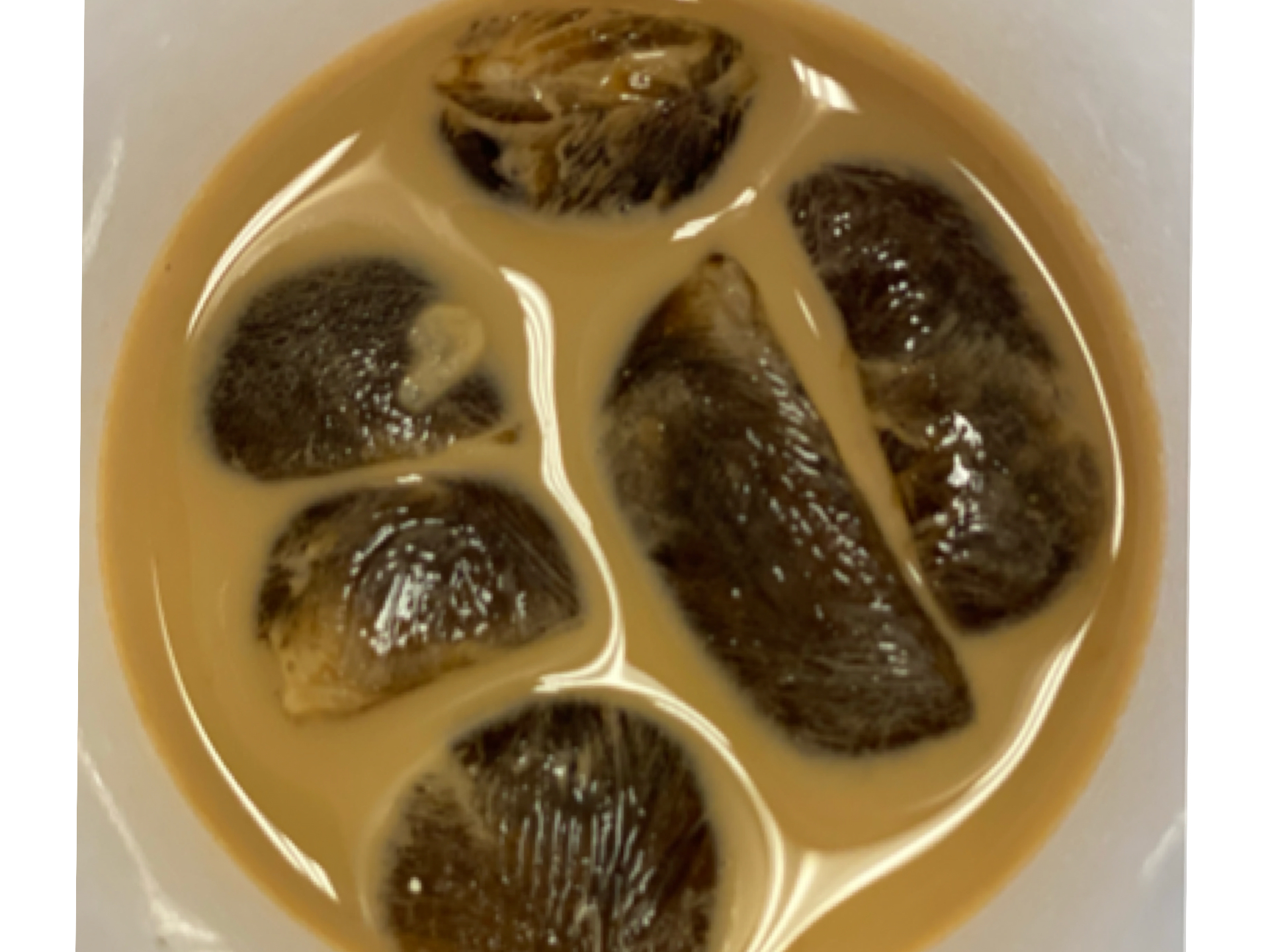 Morning Buzz coffee smoothie drink